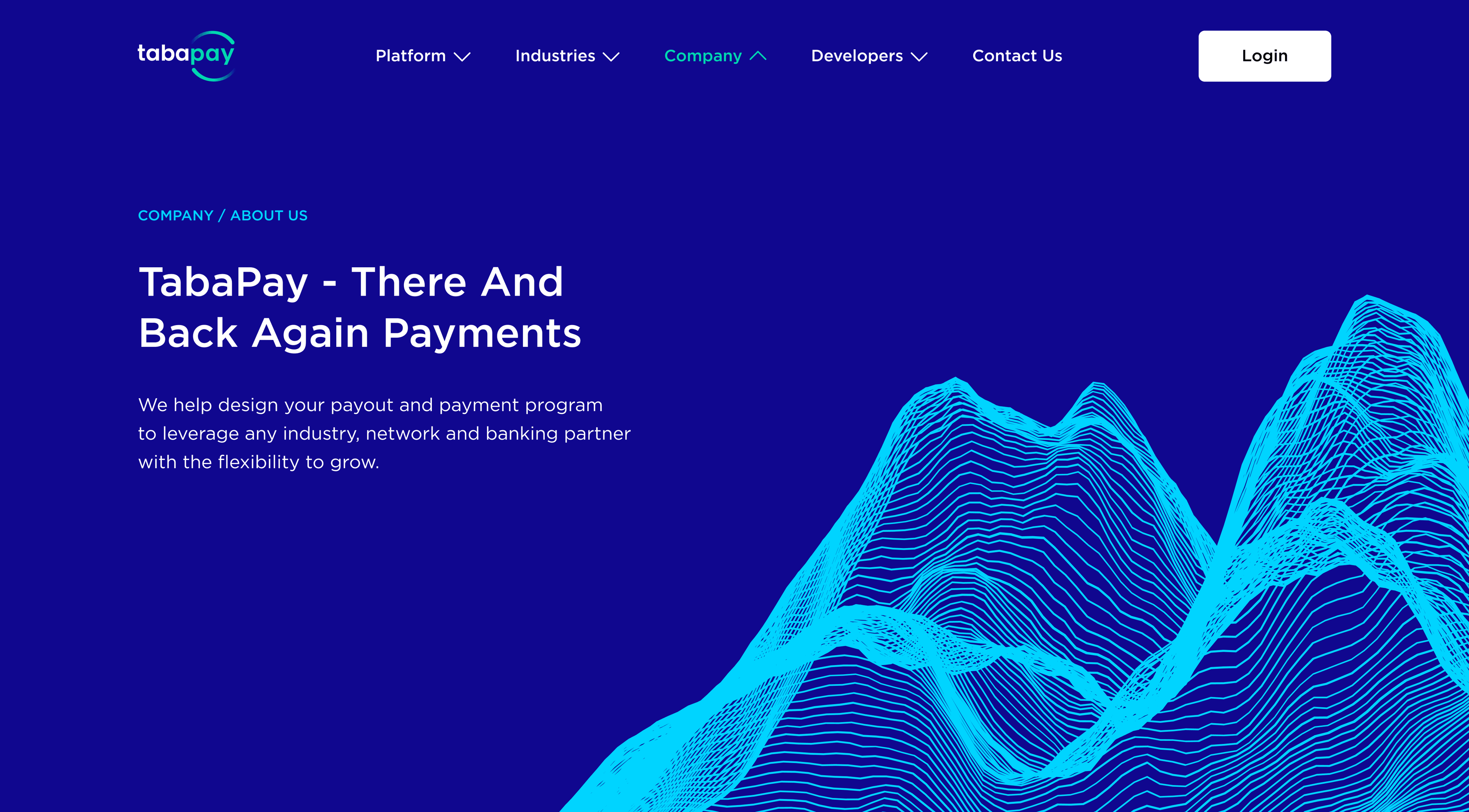 About page hero — There and Back Again Payments, with wave-line terrain